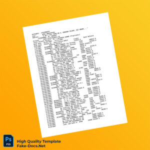 India Apex Industries Bank Statement Template in Word and PDF formats 3 page