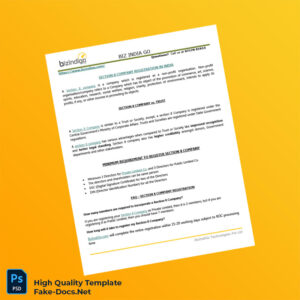 India BizIndiGo Technologies Pvt Ltd Editable Section 8 Company Guide Template in Word and PDF formats 2 page