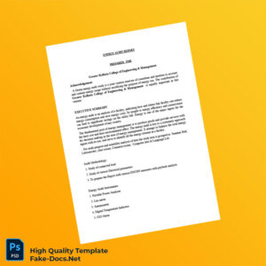 India Editable Energy Audit Report Template in Word and PDF formats 3 page