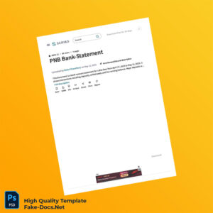 India PNB Bank Statement Template in Word and PDF formats 8 page