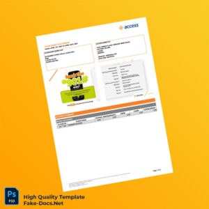 Nigeria Access Bank PLC Bank Statement Template in Word and PDF formats 2 page