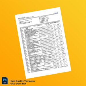 Nigeria Access Bank Statement Template in Word and PDF formats 2 page