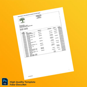 Nigeria Integrity Bank Bank Statement Template in Word and PDF formats