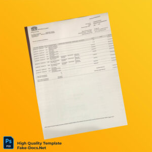 Pakistan Bank Ltd Bank Statement Template in Word and PDF formats 3 page