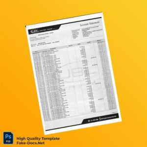 Pakistan Bank Statement Template in Word and PDF formats 3 page