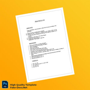 Pakistan Editable Utility Bill Template in Word and PDF formats 2 page