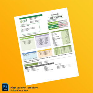 Pakistan Editable Utility Bill Template in Word and PDF formats