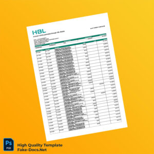 Pakistan HBL Editable Account Activity Template in Word and PDF formats 2 page