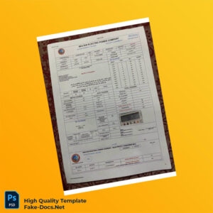 Pakistan Multan Electric Power Company Editable Electricity Bill Template in Word and PDF formats