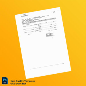 Pakistan Soneri Bank Bank Statement Template in Word and PDF formats
