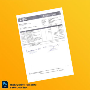 Pakistan UBL Account Statement Template in Word and PDF formats