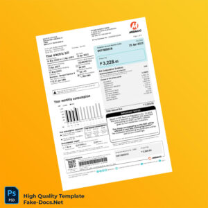 Philippines Meralco Editable Electricity Bill Template in Word and PDF formats 2 page