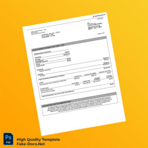 Singapore Citibank Account Summary Template in Word and PDF formats 6 page