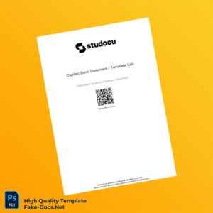 South Africa Capitec Bank Statement Template in Word and PDF formats 2 page