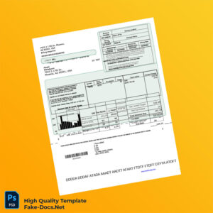 USA Akash Editable Utility Bill Template in Word and PDF formats 2 page