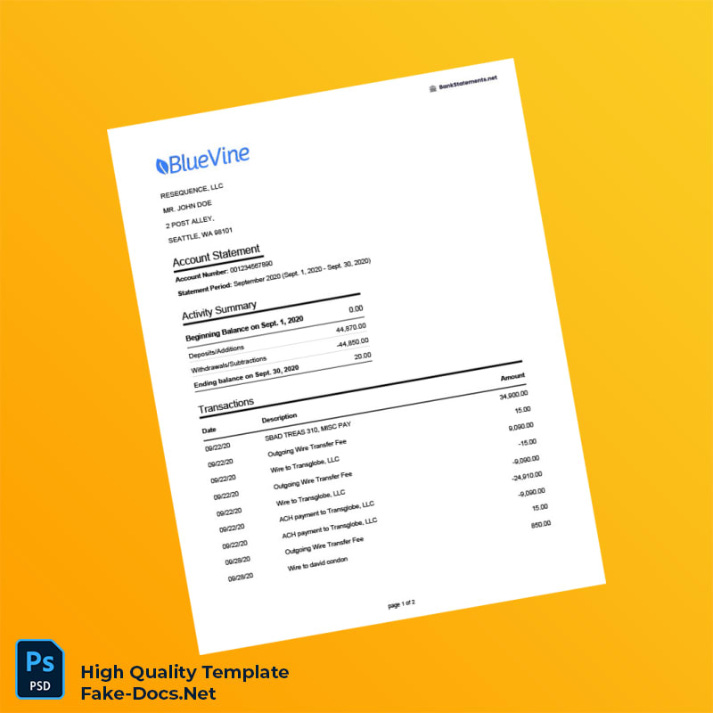USA Bluevine Bank Statement Template in Word and PDF formats 2 page USA Bluevine Bank Statement Template in Word and PDF formats 2 page