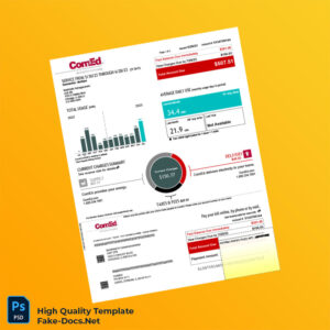 USA ComEd Editable Utility Bill Template in Word and PDF formats 3 page