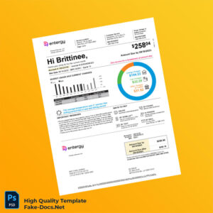 USA Entergy Editable Utility Bill Template in Word and PDF formats 4 page USA Entergy Editable Utility Bill Template in Word and PDF formats 4 page