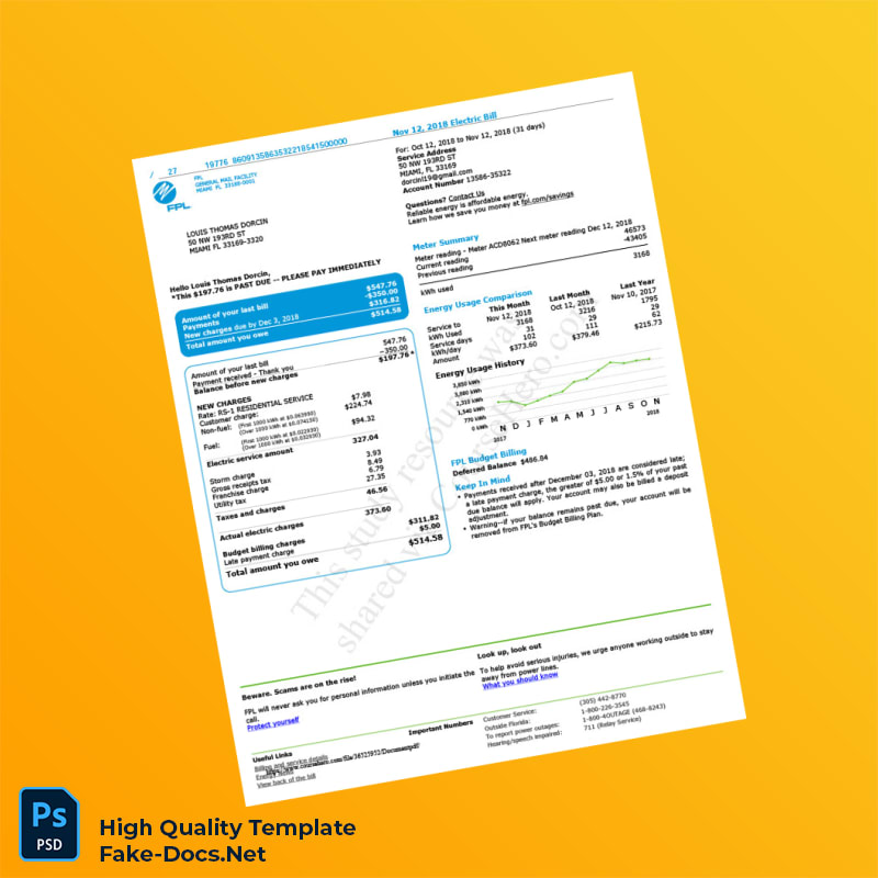 USA FPL Editable Electricity Bill Template in Word and PDF formats USA FPL Editable Electricity Bill Template in Word and PDF formats