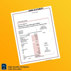 USA First Bank Bank Statement Template in Word and PDF formats 2 page