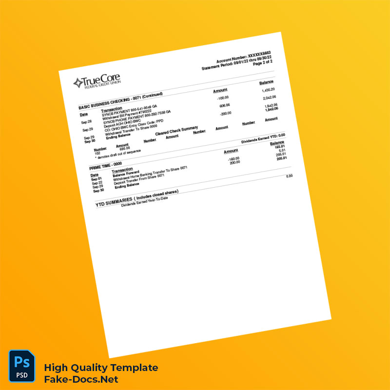 USA Navy Federal Credit Union Bank Statement Template in Word and PDF formats 2 page USA Navy Federal Credit Union Bank Statement Template in Word and PDF formats 2 page