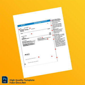 USA PECO Editable Utility Bill Template in Word and PDF formats 2 page