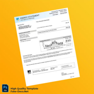 USA PG E Editable Electricity Bill Template in Word and PDF formats 2 page