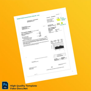 USA PGE Editable Utility Bill Template in Word and PDF formats 2 page