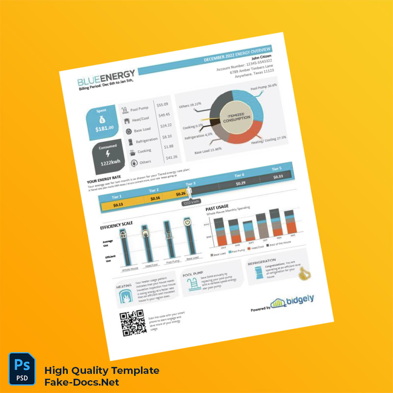 USA Texas Blue Energy Editable Utility Bill Template in Word and PDF formats 2 page USA Texas Blue Energy Editable Utility Bill Template in Word and PDF formats 2 page