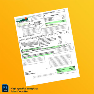 USA Trinity PUD Editable Utility Bill Template in Word and PDF formats 2 page