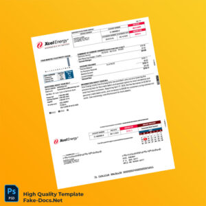 USA Xcel Energy Editable Electricity Bill Template in Word and PDF formats 2 page