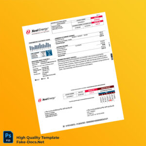 USA Xcel Energy Editable Utility Bill Template in Word and PDF formats