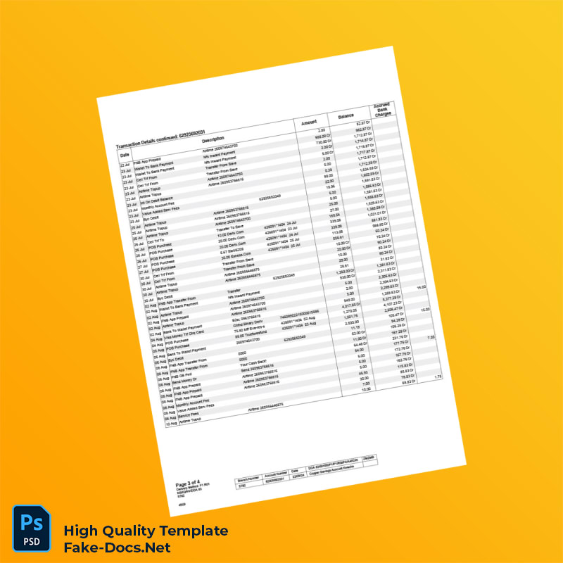 Zambia FNB Bank Statement Template in Word and PDF formats 4 page Zambia FNB Bank Statement Template in Word and PDF formats 4 page