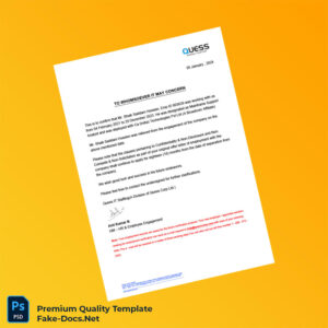 India Ca India Technologies Pvt Ltd Employment Verification Letter Template (Word & PDF)