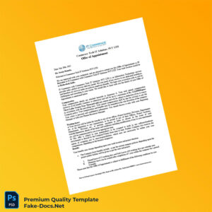 India Commence Tech IT Solutions PVT LTD Offer Letter Template (Word & PDF) 5 page