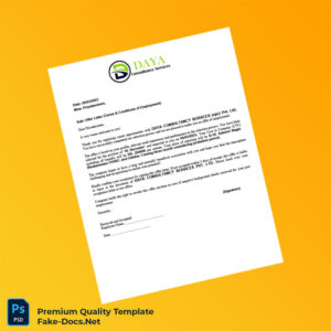 India Daya Consultancy Services Pvt Ltd Offer Letter Template (Word & PDF) 4 page