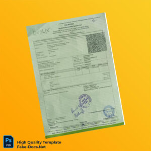 India Qualix Information System LLP Invoice Template in Word and PDF formats 3 page