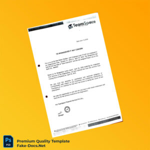 India TeamSpace Employment Verification Letter Template (Word & PDF) 4 page