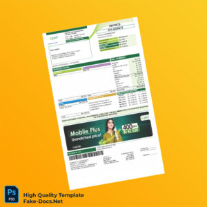 Pakistan PTCL Invoice Template in Word and PDF formats 2 page Pakistan PTCL Invoice Template in Word and PDF formats 2 page