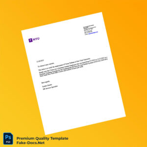 United States New York University Employment Verification Letter Template (Word & PDF) United States New York University Employment Verification Letter Template (Word & PDF)