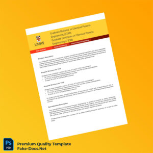 Australia University of New South Wales Graduate Diploma in Chemical Process Engineering Template – High Quality Replacement Template 2 Page