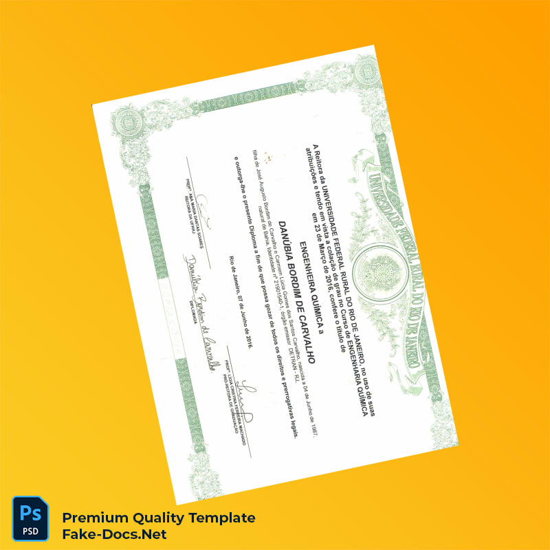 Brazil Federal Rural University of Rio de Janeiro Bachelor of Science in Chemical Engineering Template – High Quality Replacement Template 2 Page Brazil Federal Rural University of Rio de Janeiro Bachelor of Science in Chemical Engineering Template – High Quality Replacement Template 2 Page