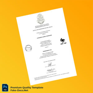 Brazil University of São Paulo Bachelor of Civil Engineering Template – High Quality Replacement Template 2 Page Brazil University of São Paulo Bachelor of Civil Engineering Template – High Quality Replacement Template 2 Page