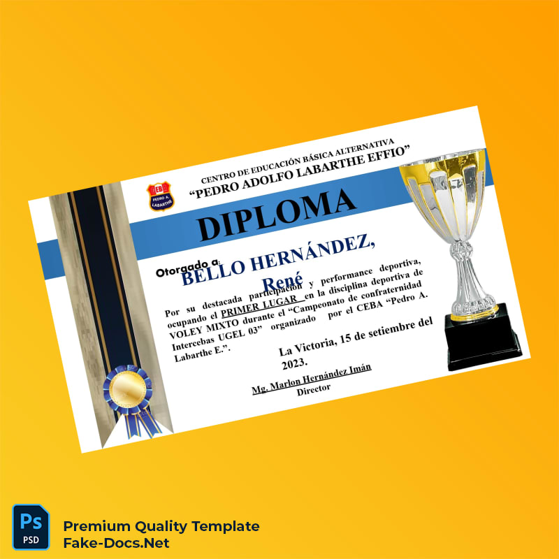 Peru CEBA Pedro Adolfo Labarthe Effio Diploma in Mixed Volleyball and Academic Achievements – High Quality Replacement Template 5 Page Peru CEBA Pedro Adolfo Labarthe Effio Diploma in Mixed Volleyball and Academic Achievements – High Quality Replacement Template 5 Page